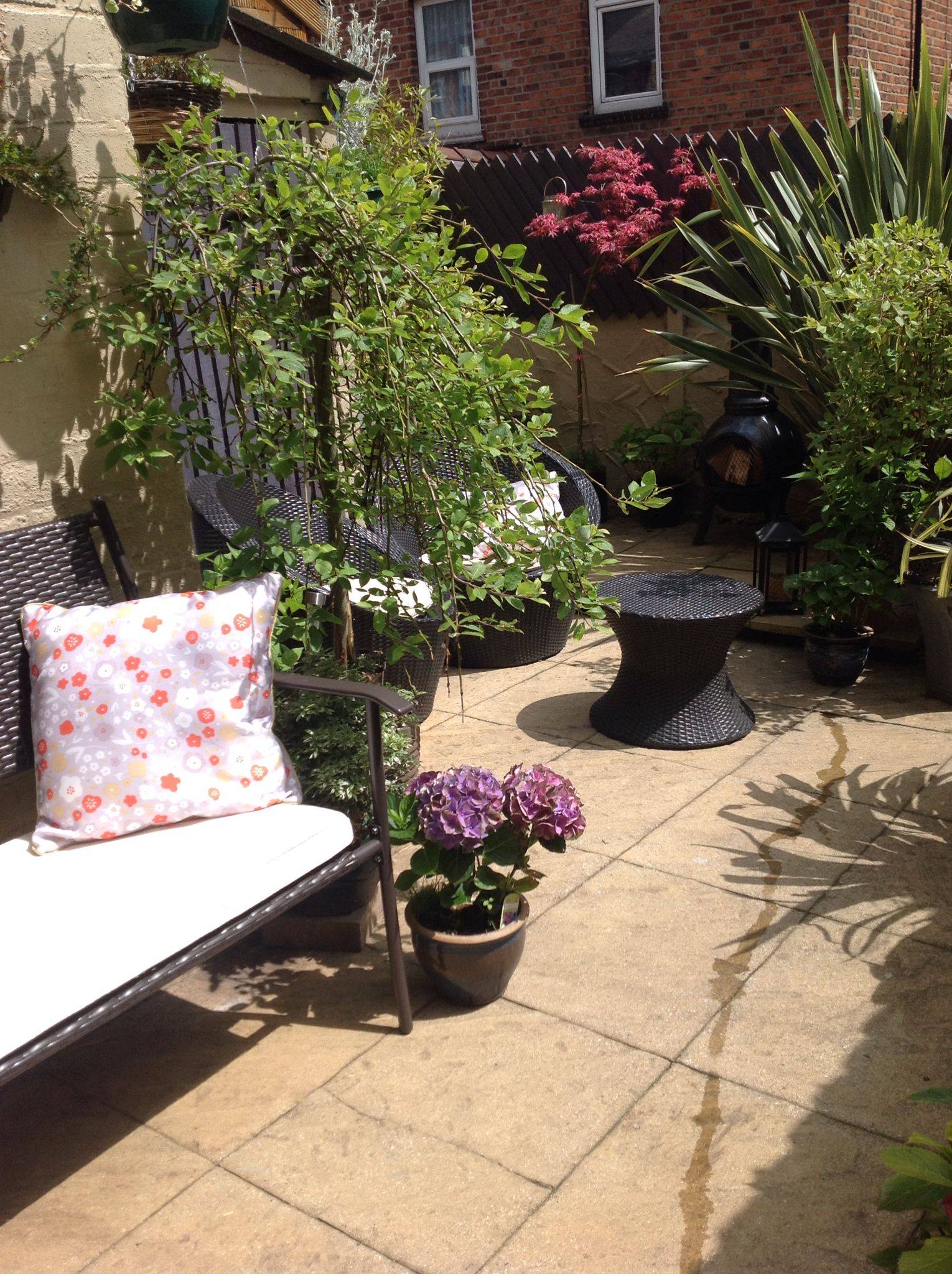 Best Terrace Gardening Ideas