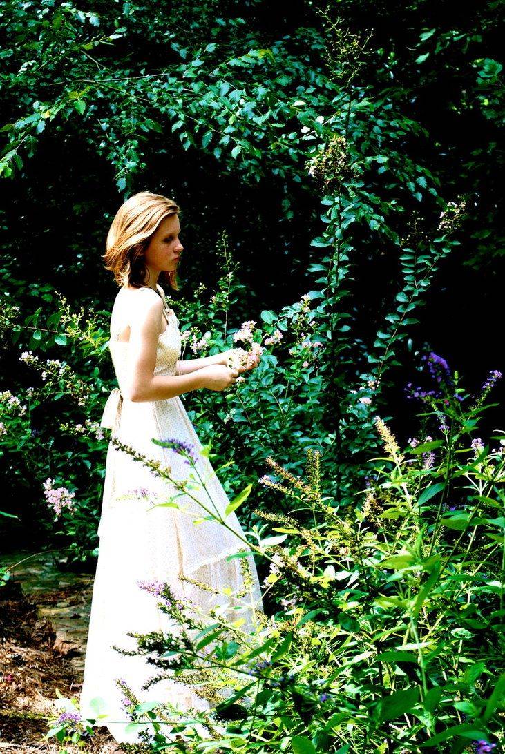 A Beautiful Garden Party