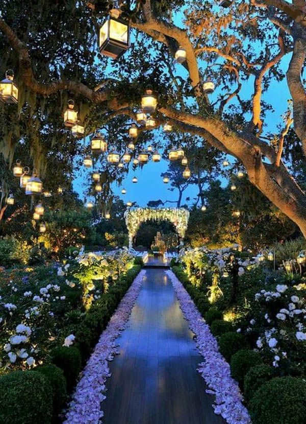 Weddings Backyard Party Lighting