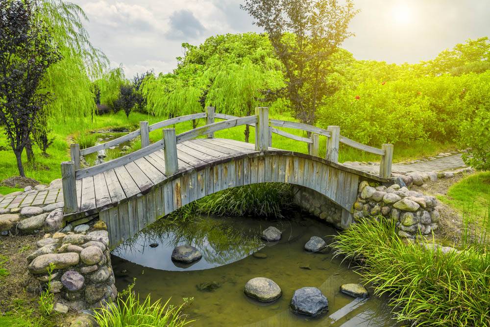 Backyard Garden Bridge Ideas