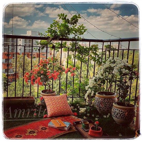 Madhus Colorful Terrace Garden