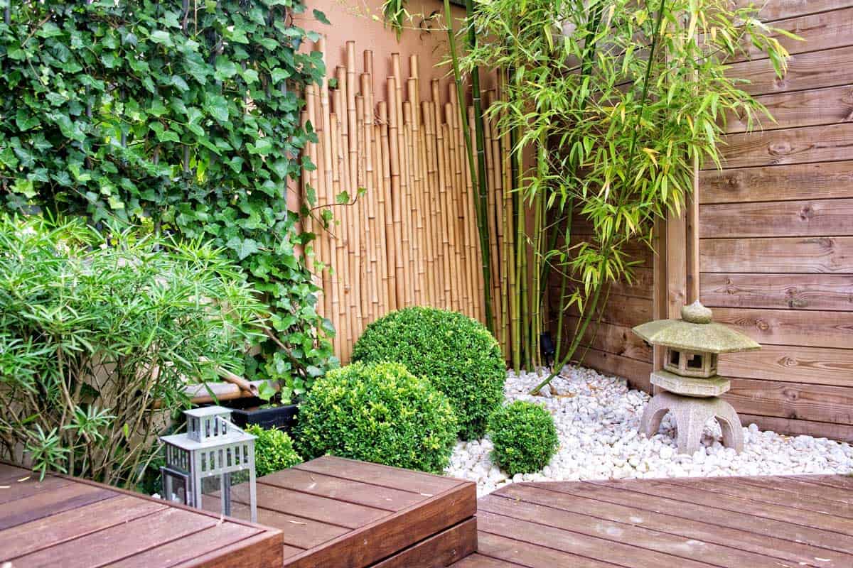 Backyard Corner Garden Ideas Brilliant Corner Yard Landscaping