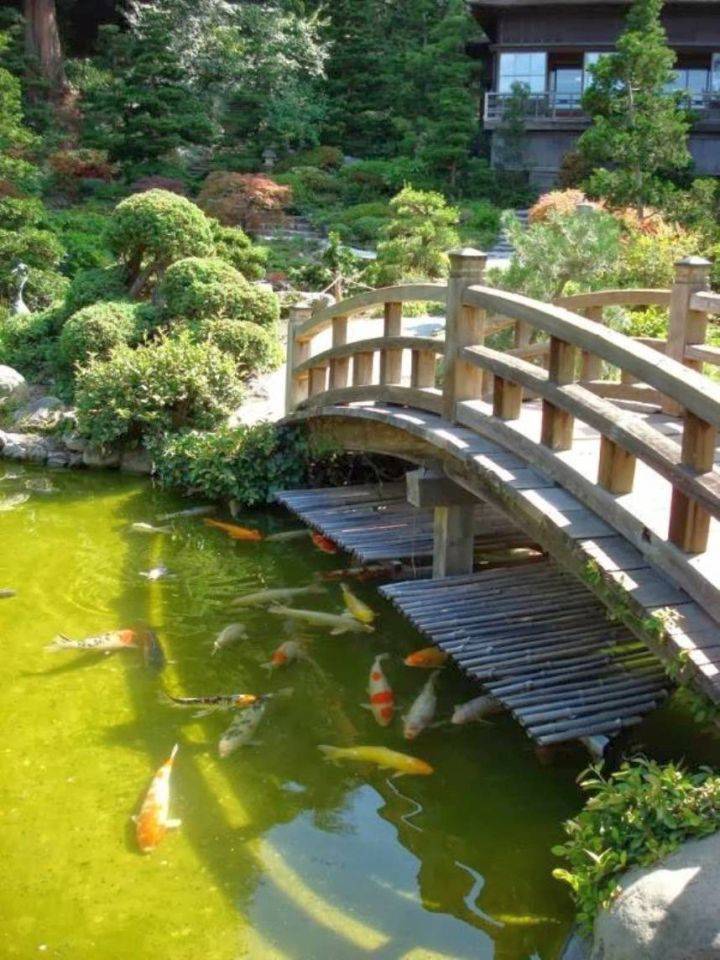 Backyard Garden Bridge Ideas