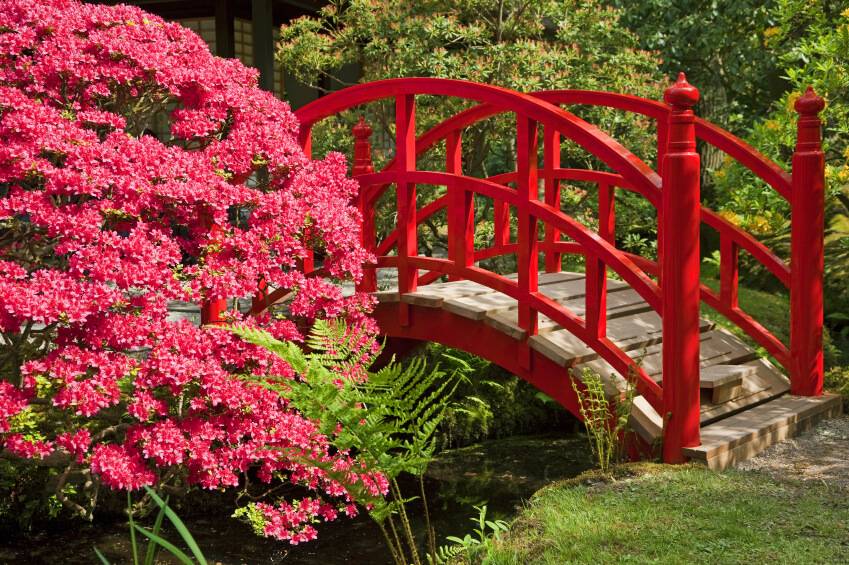 Backyard Garden Bridge Ideas