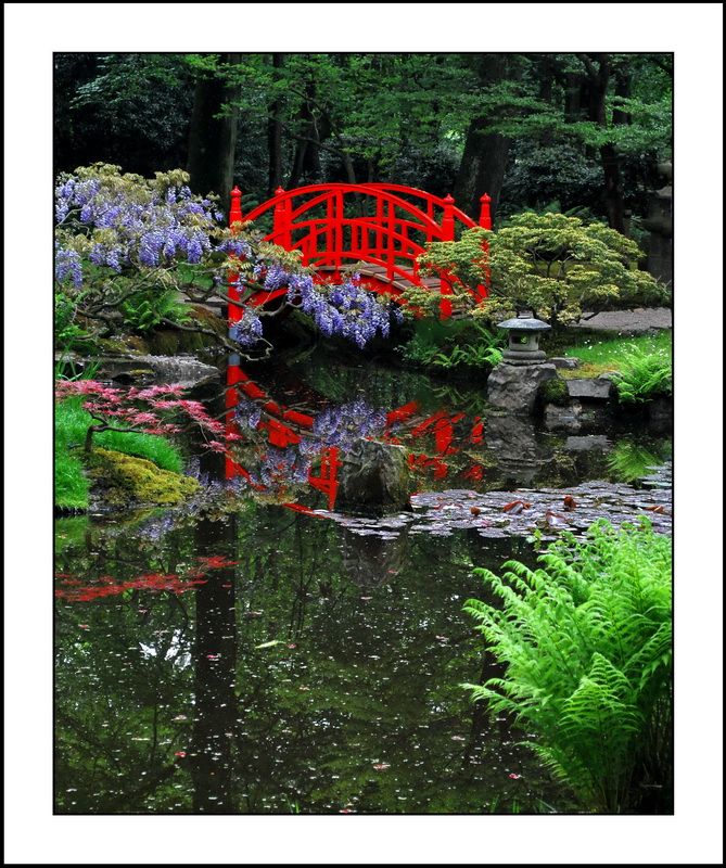 Premium Photo Red Bridge