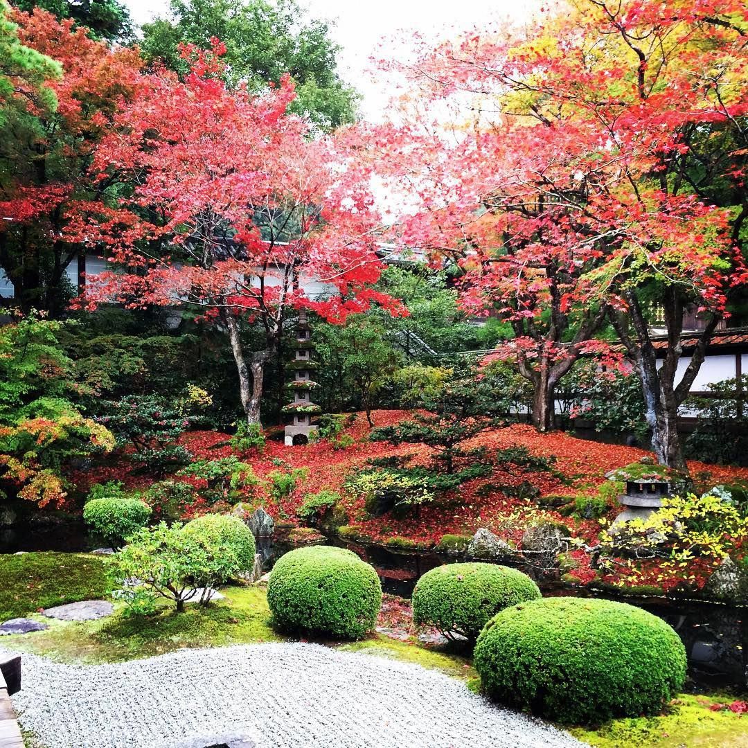Beautiful Japanese Garden