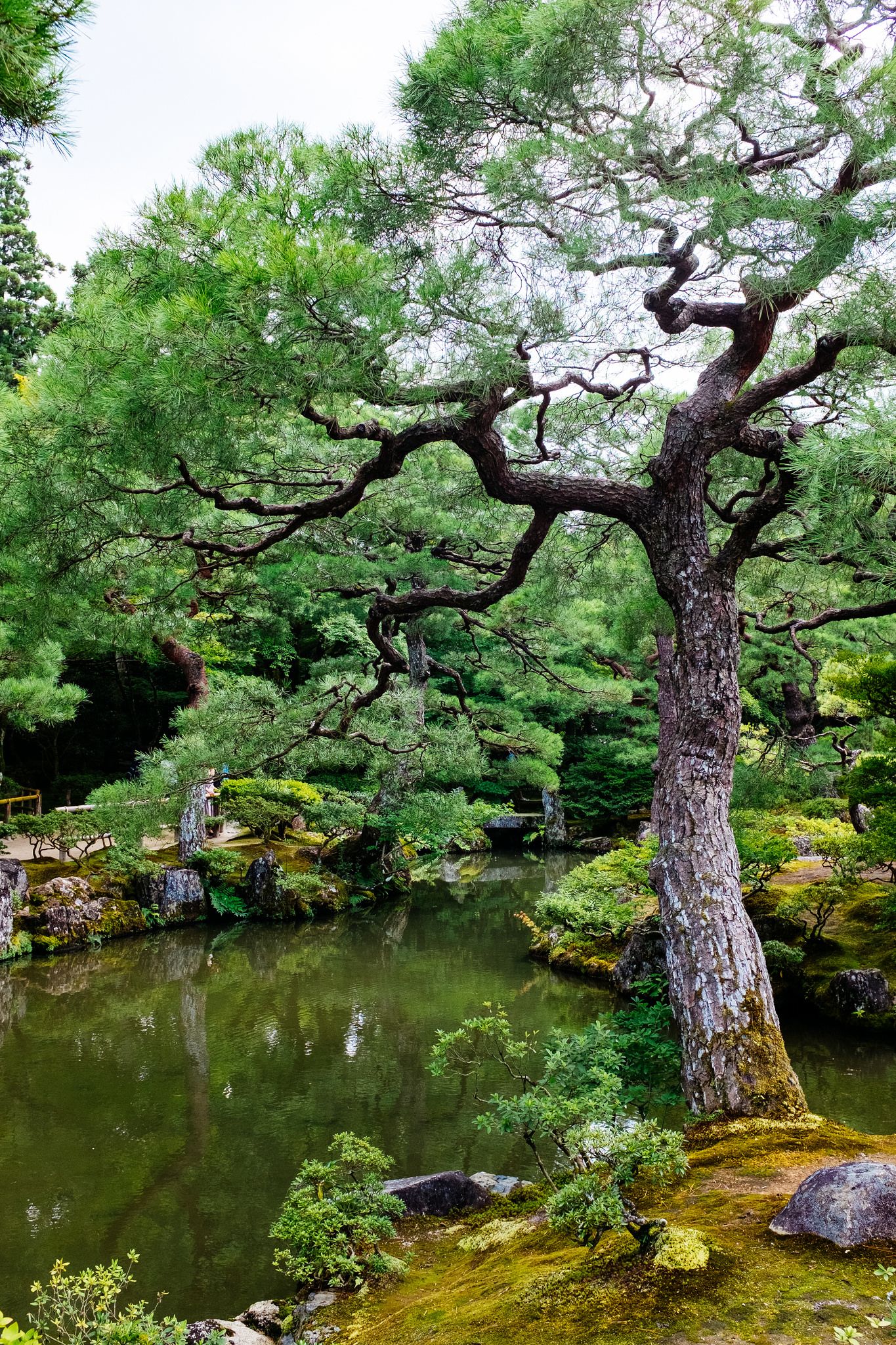 Japanese Front Lawns Garden Kyoto Wedding Ideas