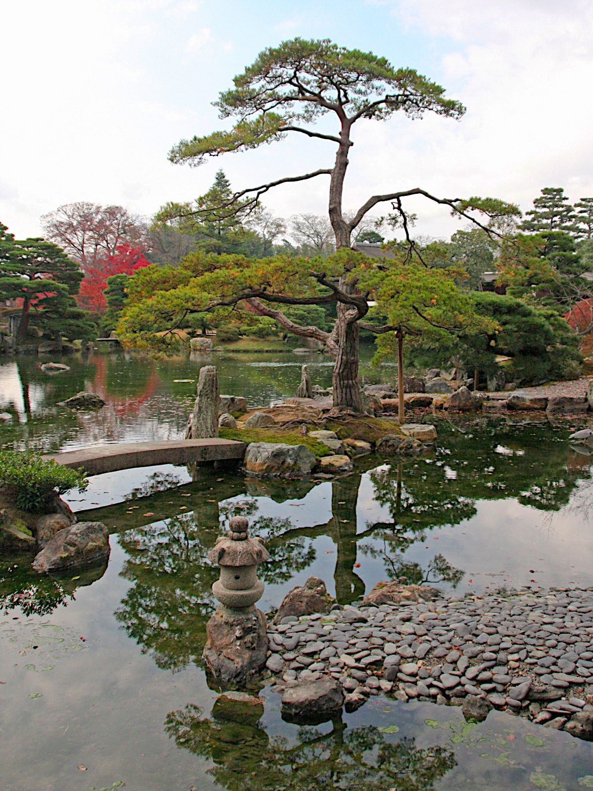 Modern Bamboo Gardening Ideas