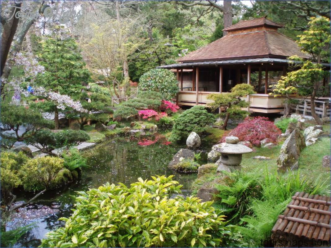 Japanese Inspired Landscape Design Options Sacramento Landscape