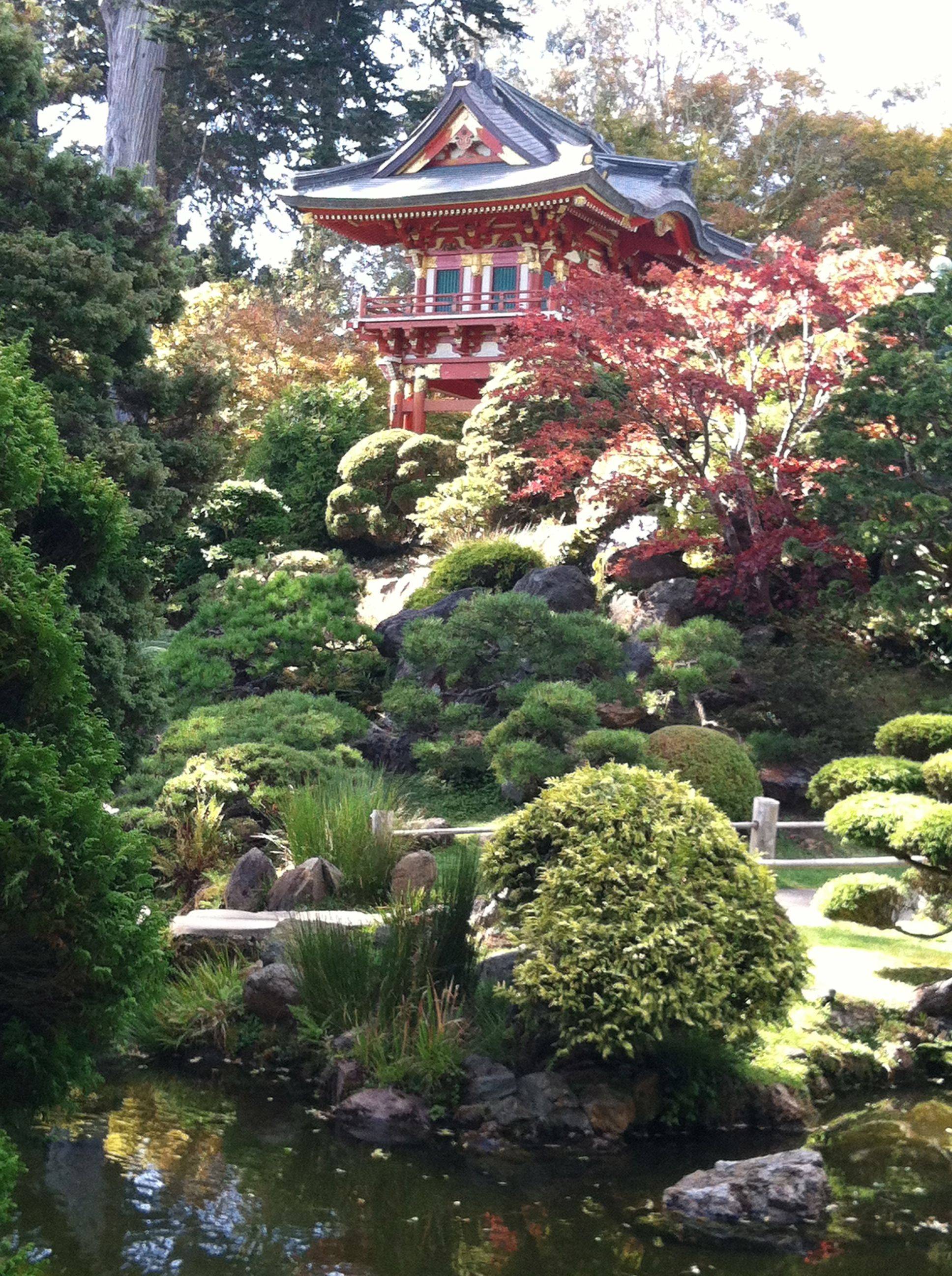 The Japanese Tea Garden