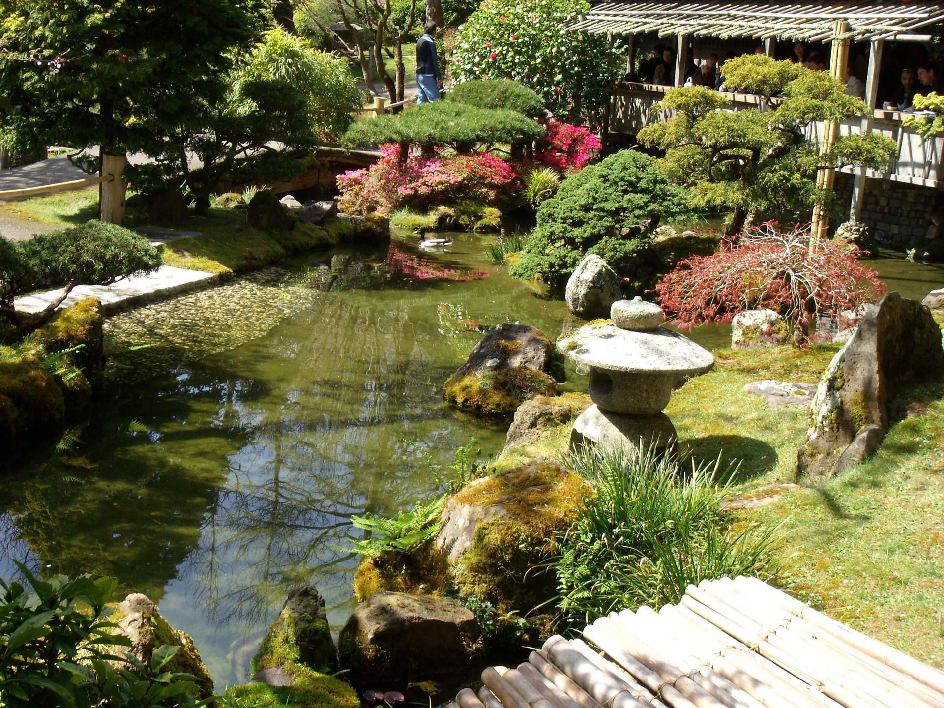 Japanese Garden Design Ideas San Francisco Bay Area Photos