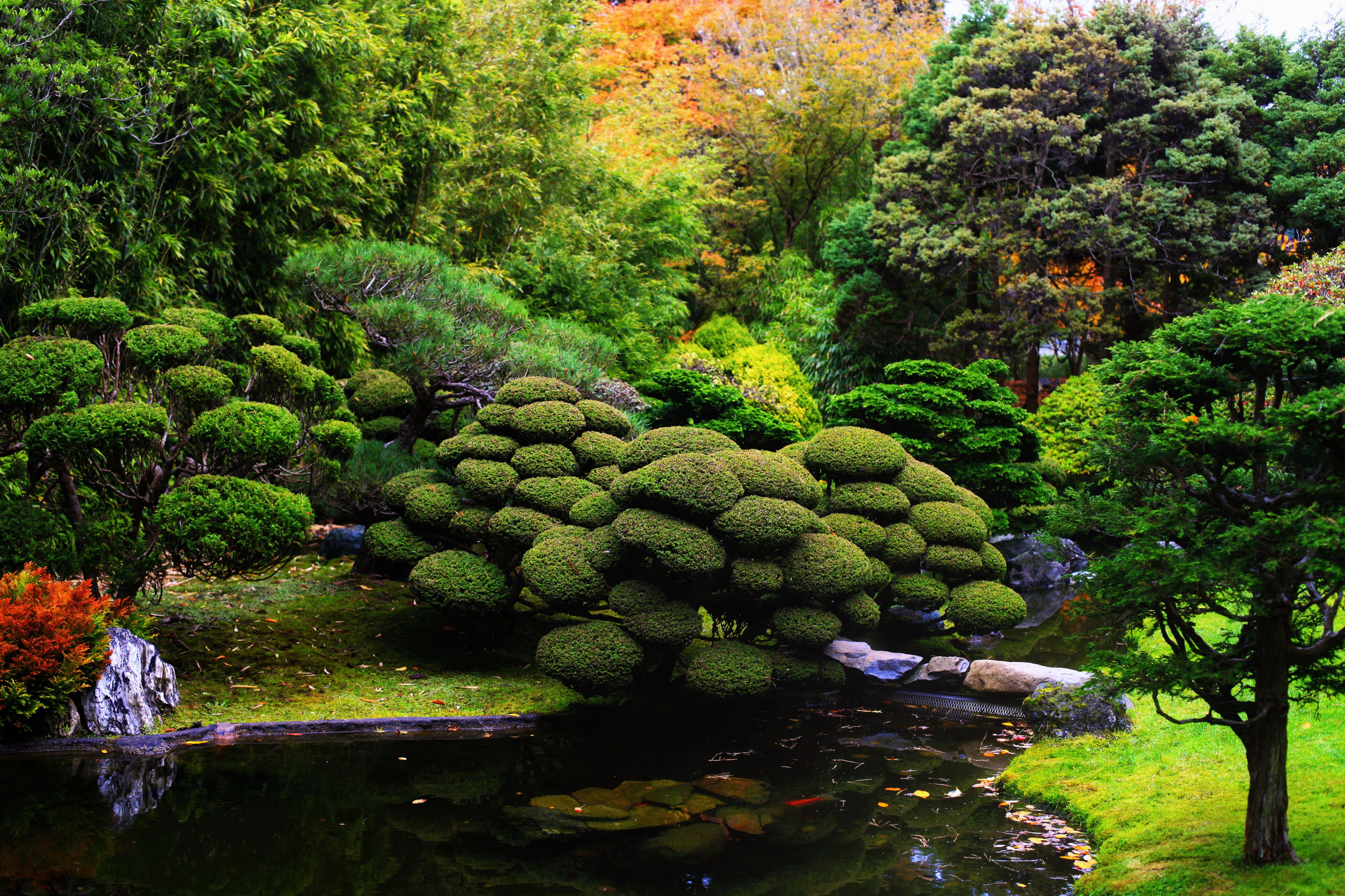 Japanese Garden Design Ideas San Francisco Bay Area Photos
