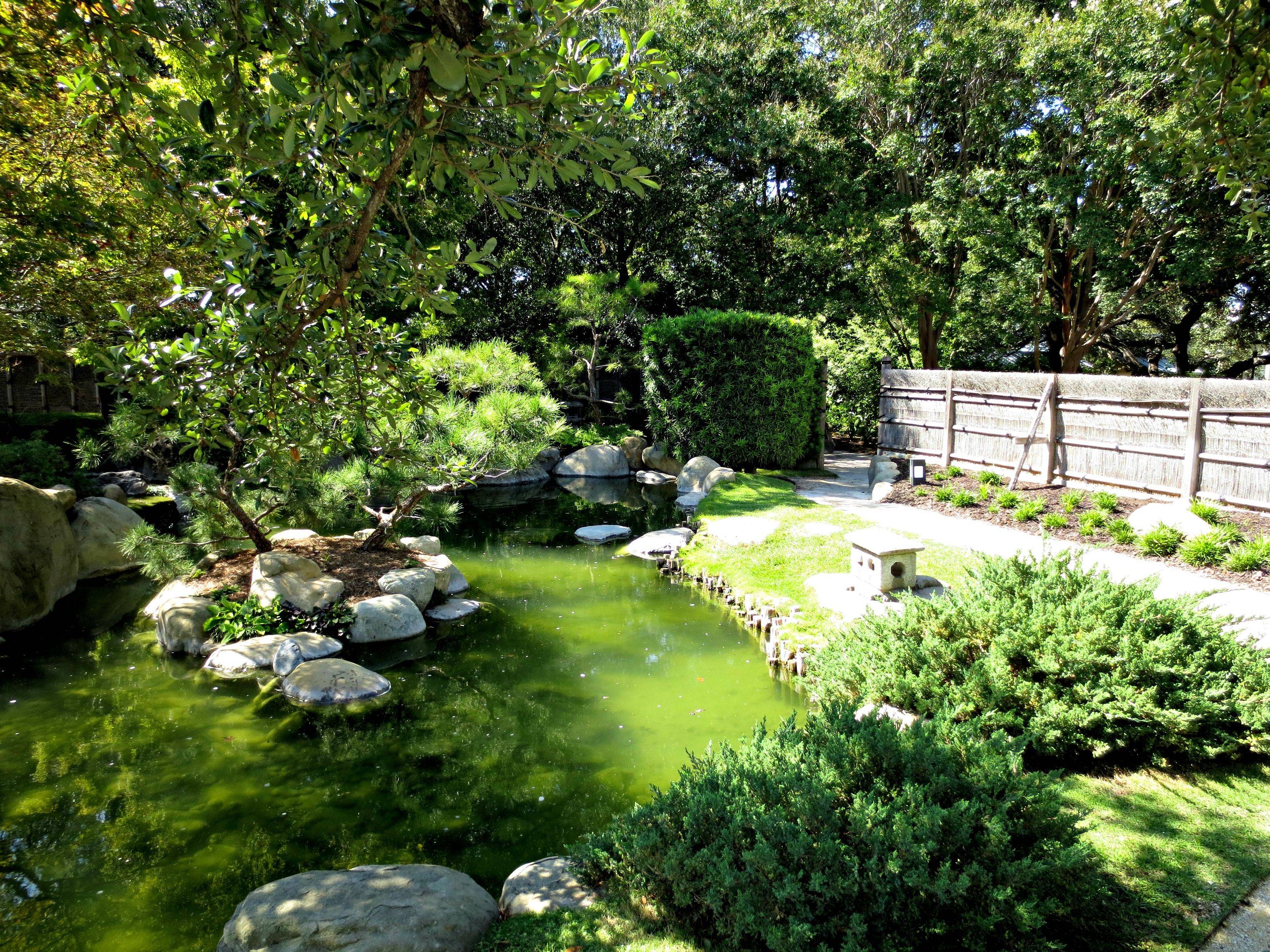 Japanese Garden Design Ideas San Francisco Bay Area Photos