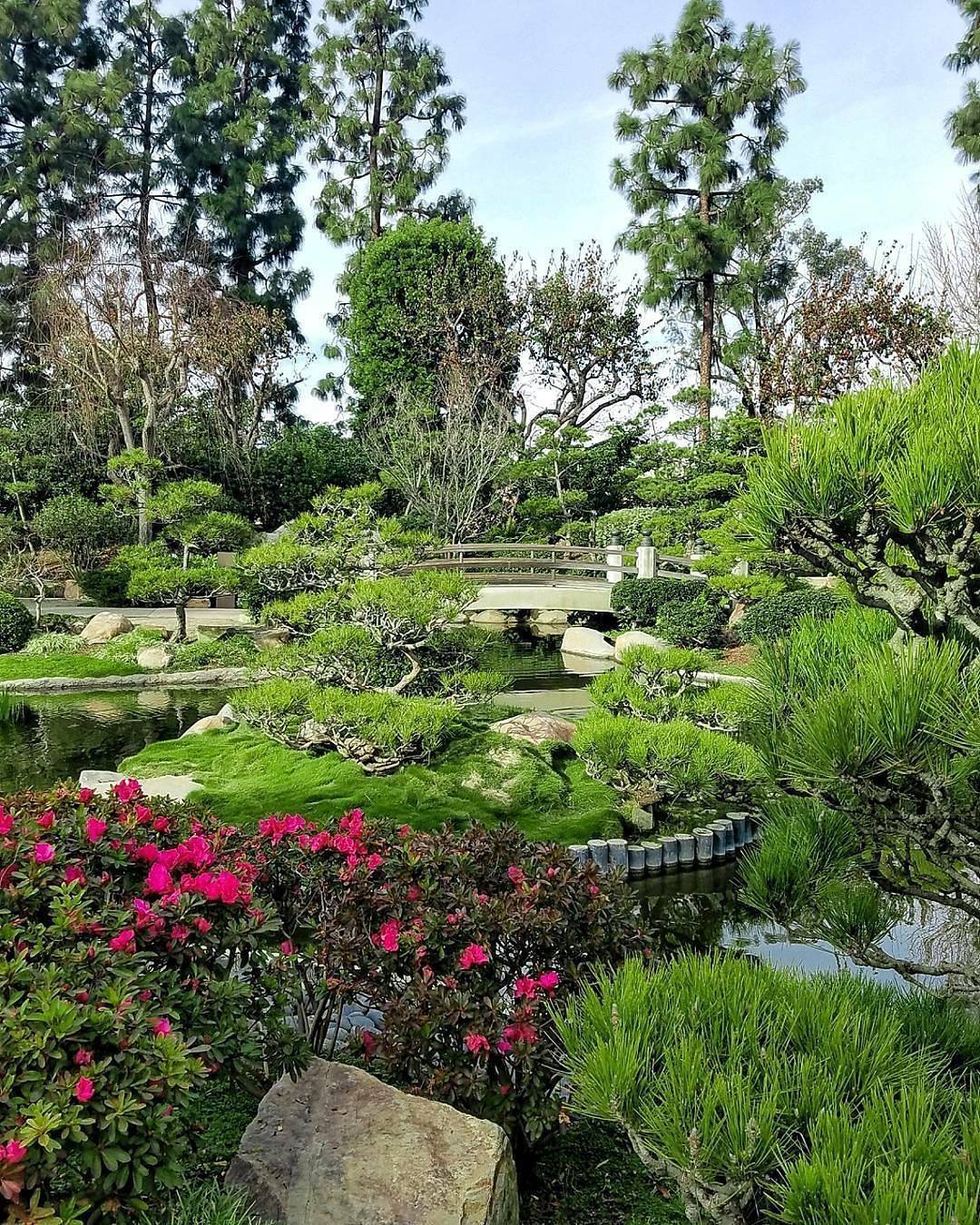 The Japanese Tea Garden