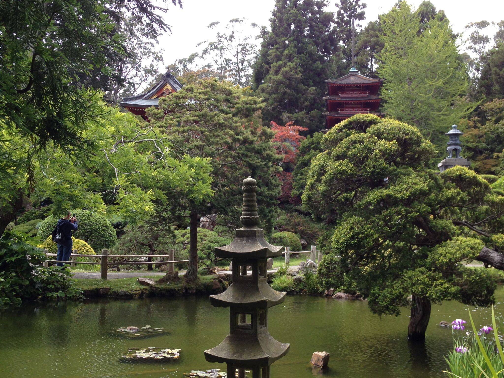 Japanese Tea Garden San Francisco Toursmapscom