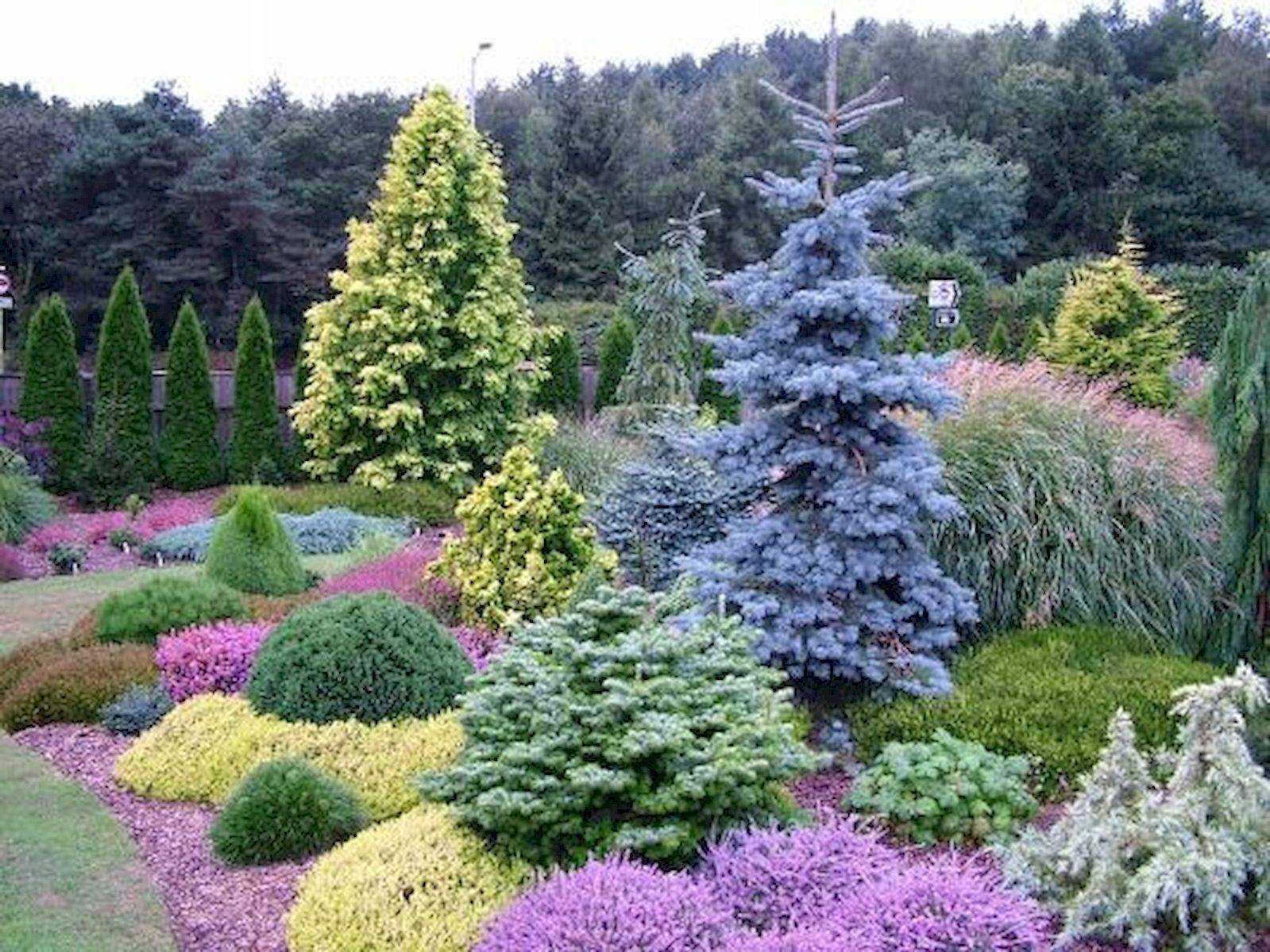 Stunning Evergreen Landscaping Ideas