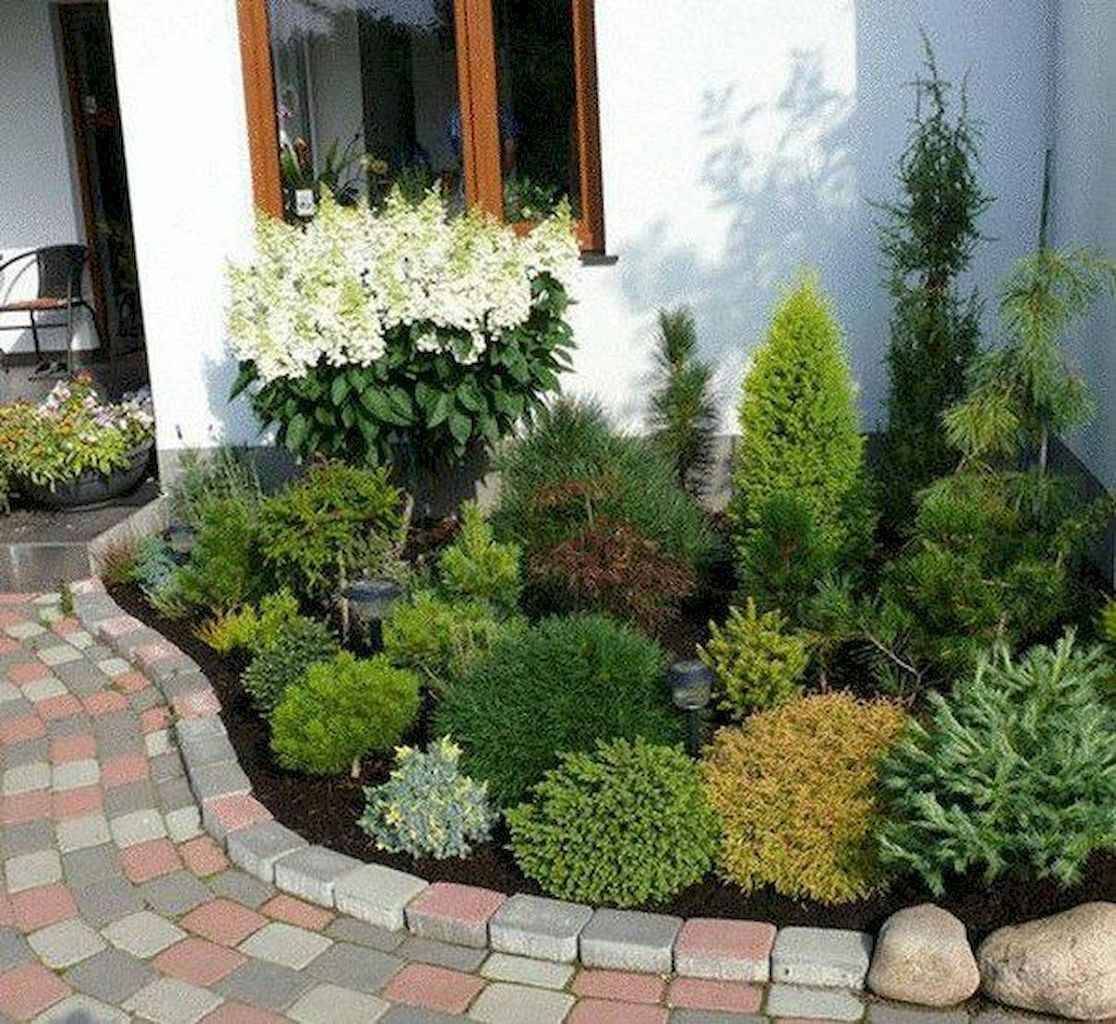 Evergreen Landscaping Ideas Eternal Oases