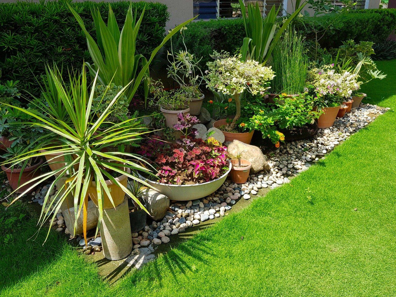 Modern Backyard Corner Landscaping Ideas Inspirations Landscape Ideas