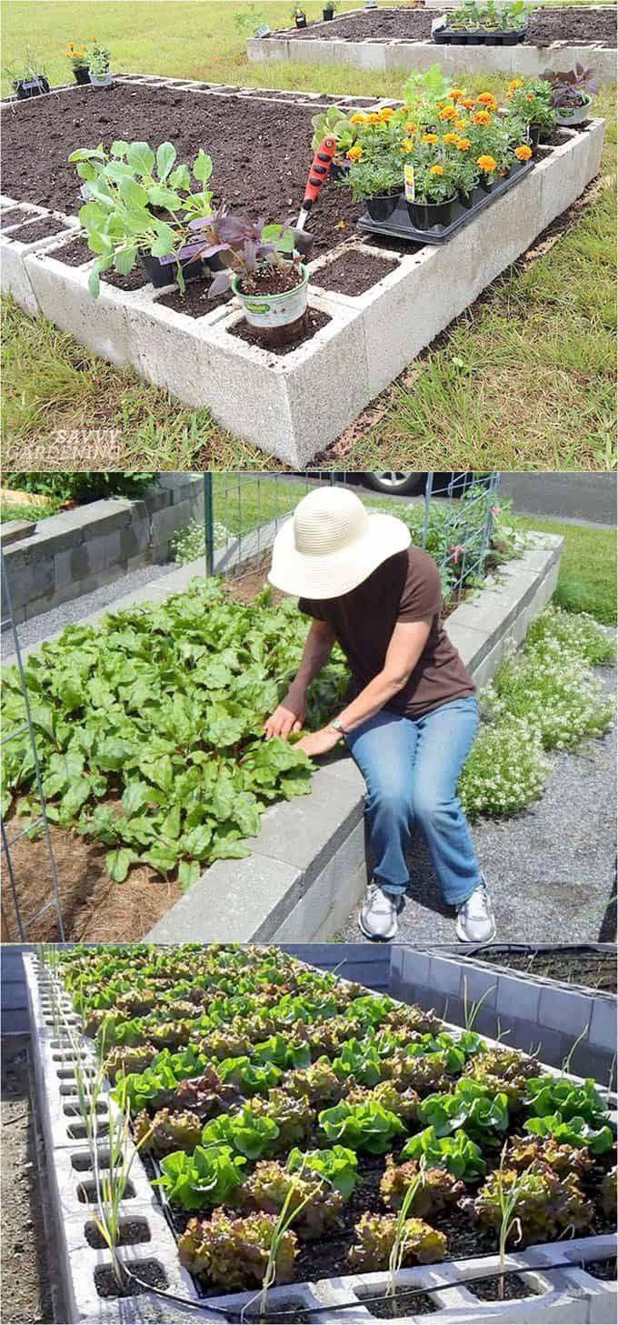 Best Diy Raised Bed Garden Ideas