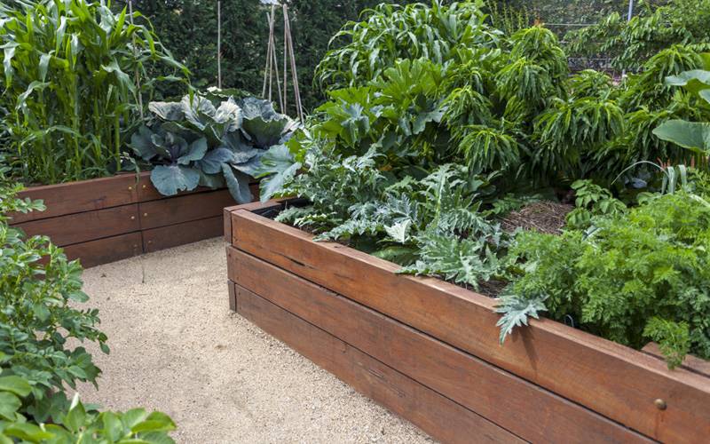 Most Amazing Raised Bed Gardens