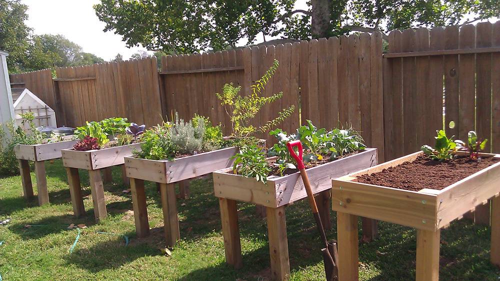 Cedar Raised Beds