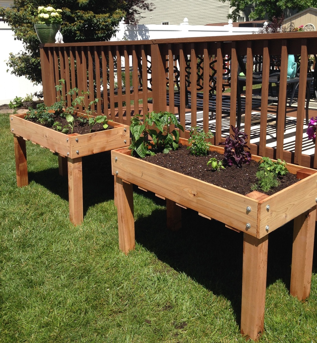 Raised Garden Beds Diagram