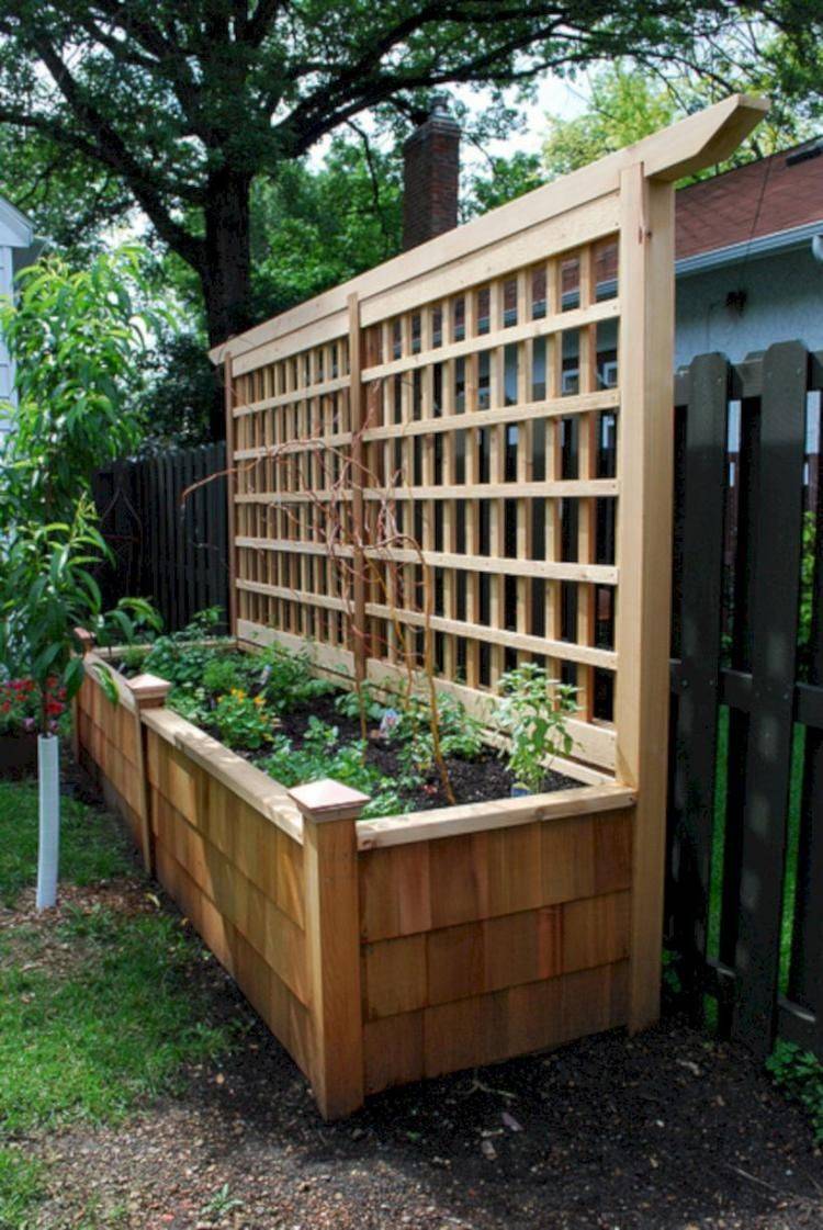 This Inexpensive Waist High Planter Box