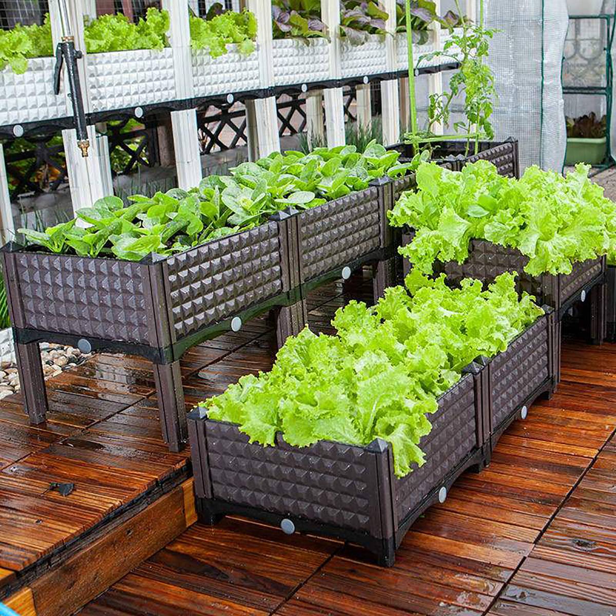 Pickling Garden Raised Vegetable Box