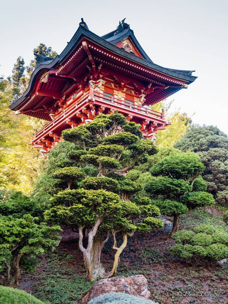 A Japanese Garden Pagoda Designroffice
