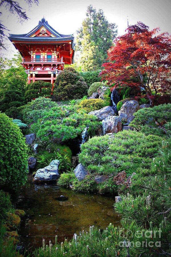 Japanese Garden Backyard Design