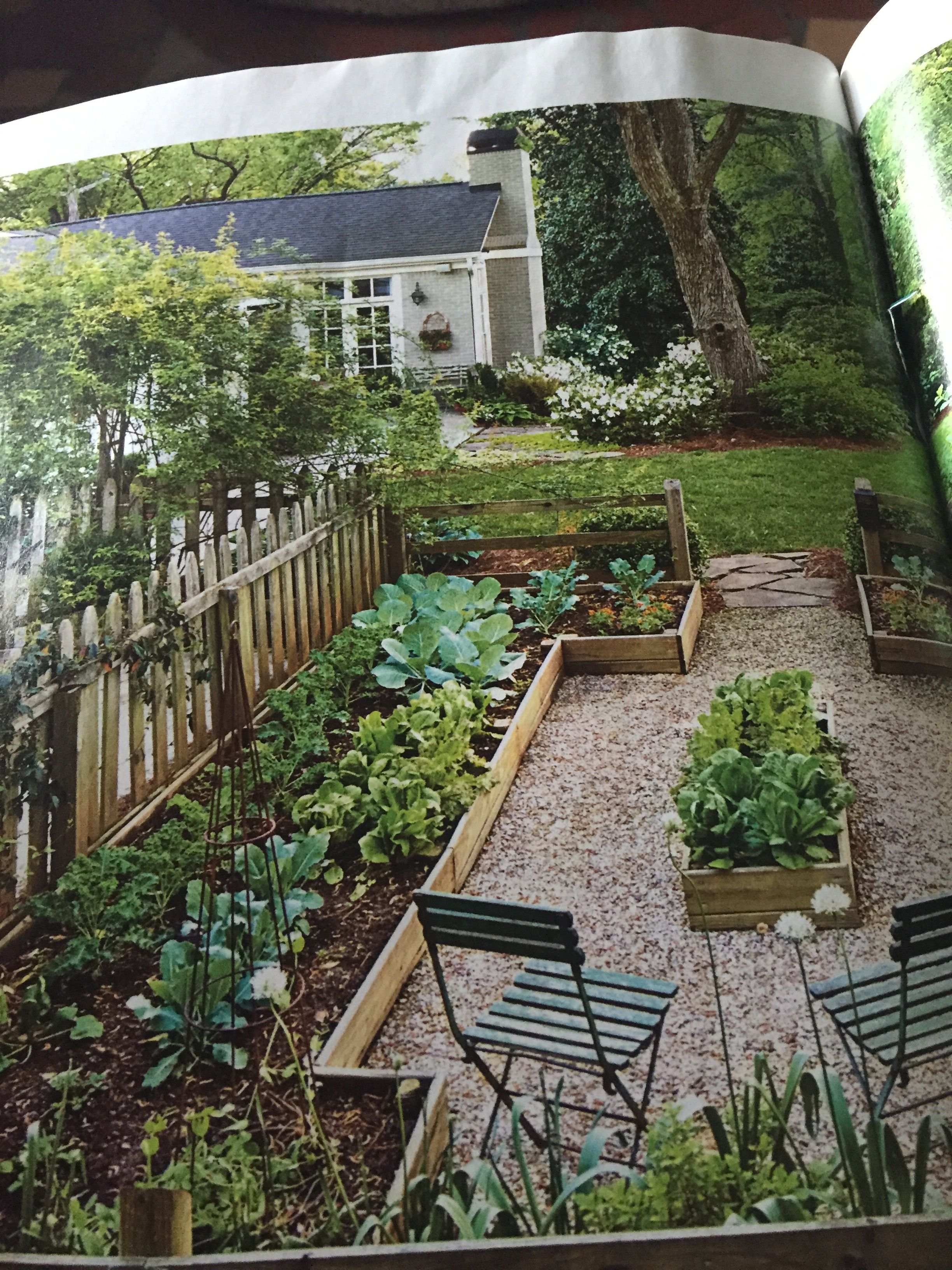 Vegetable Garden