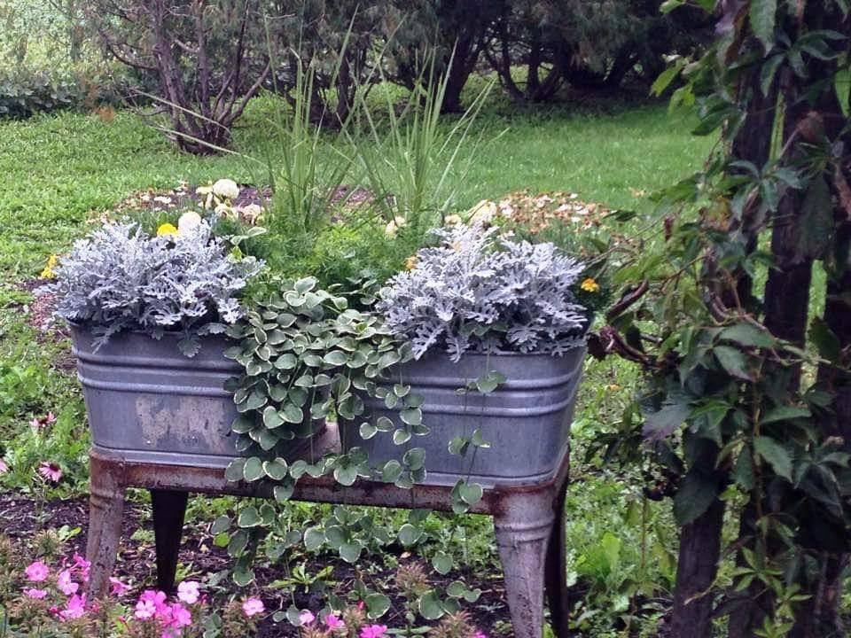 A Red White And Blue Garden