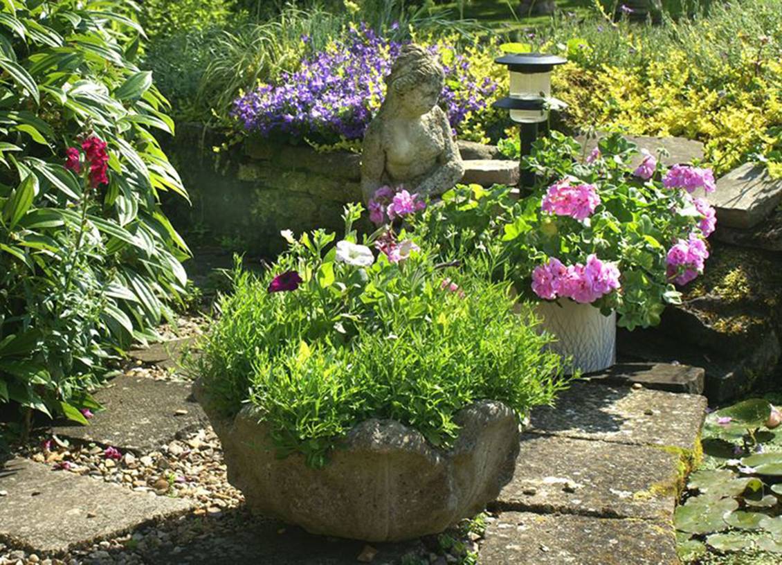 Flea Market Gardening