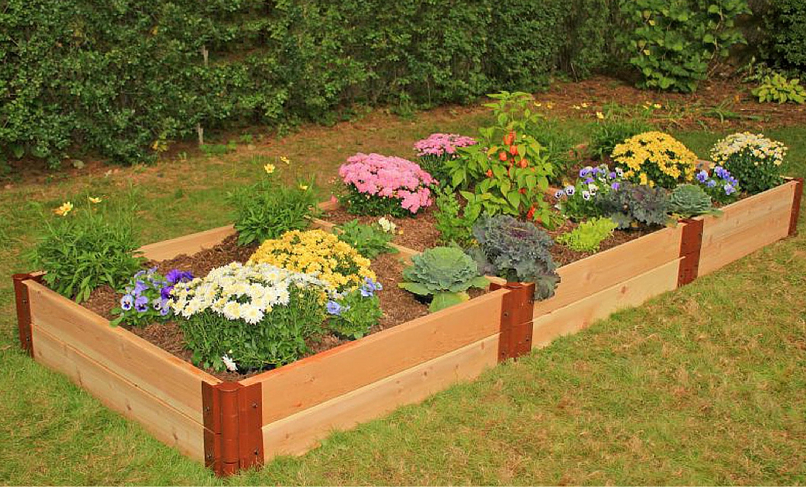 Flower Bed Patio Backyard Cheap Garden Design