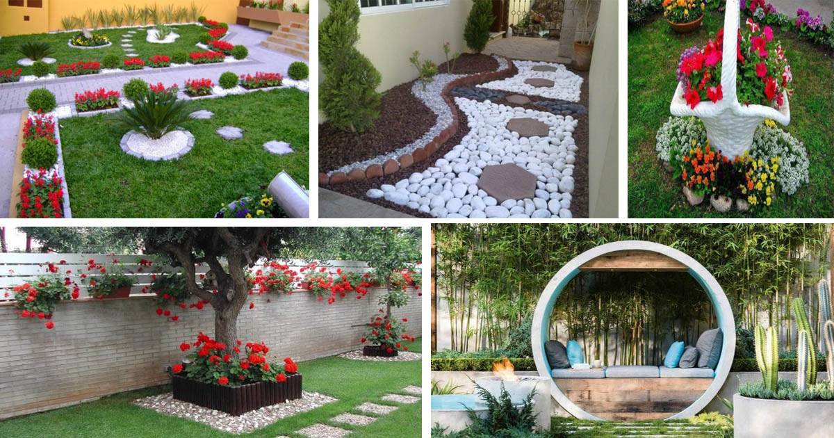 Best Creative Garden Container Ideas