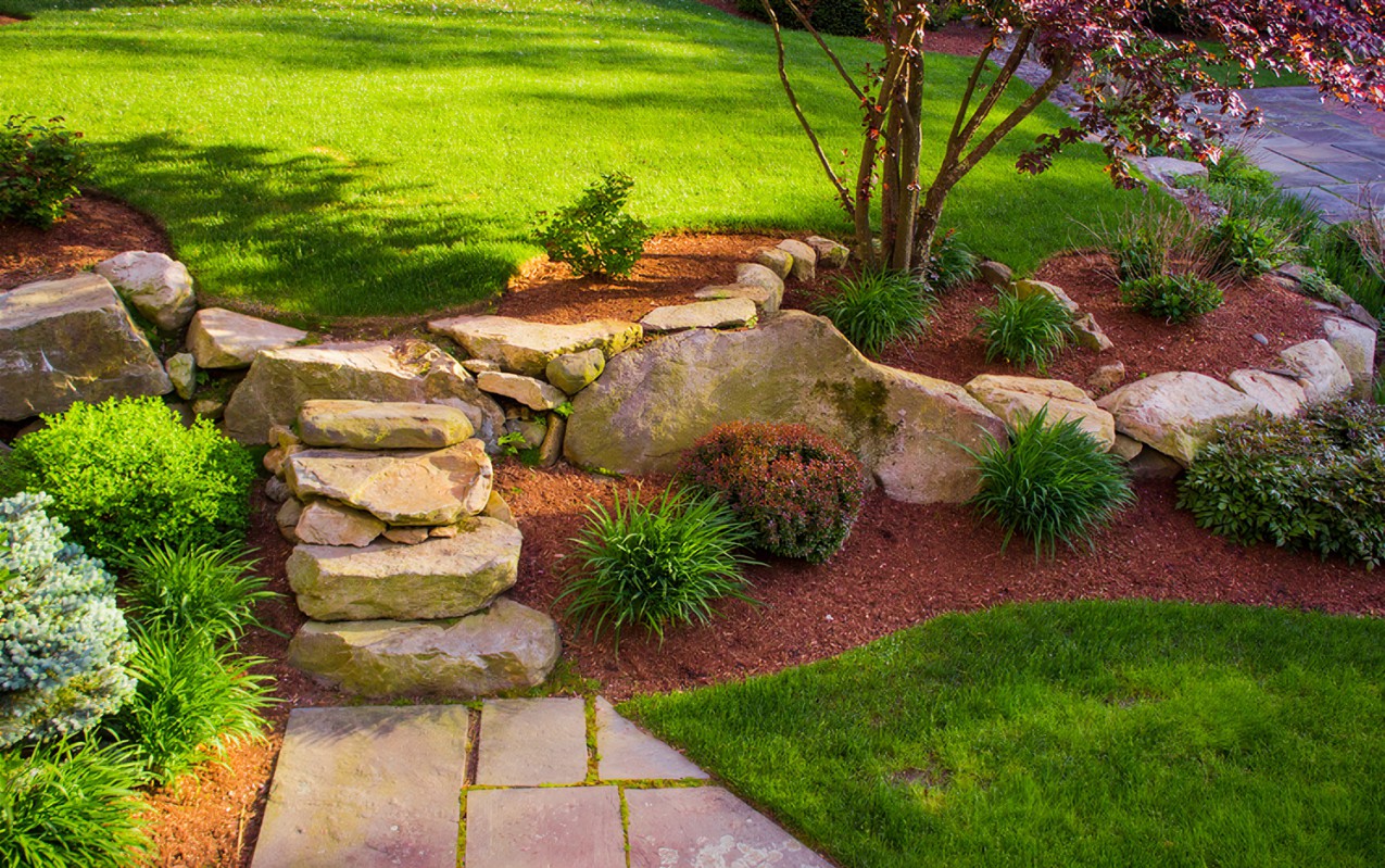 Landscape Design Remedies