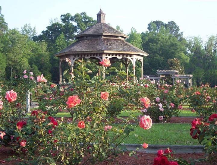 Front Yard Landscaping Ideas