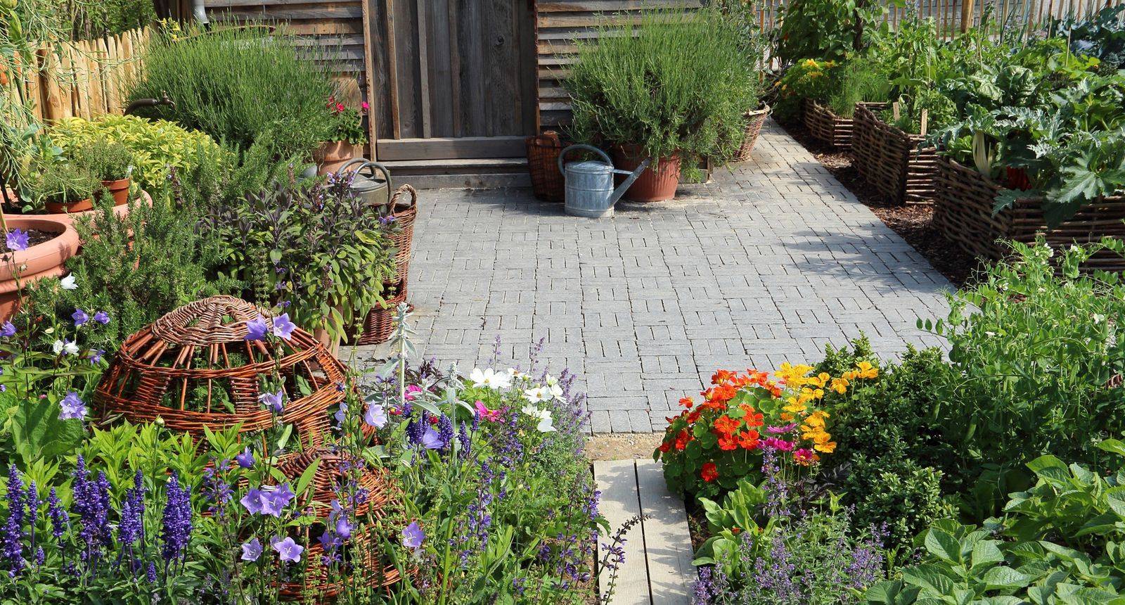 A Home Gardeners Tips