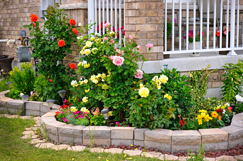 Rose Garden Ideas