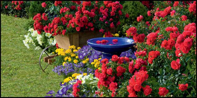 Rose Garden Houzz