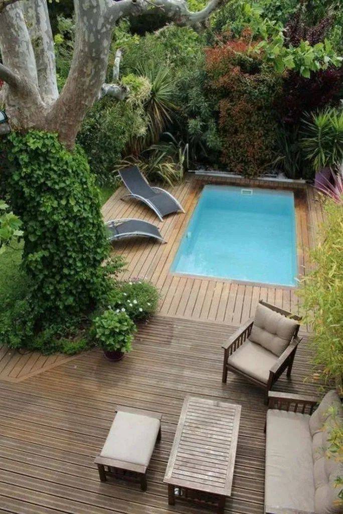 Luxury Backyard Design Trends