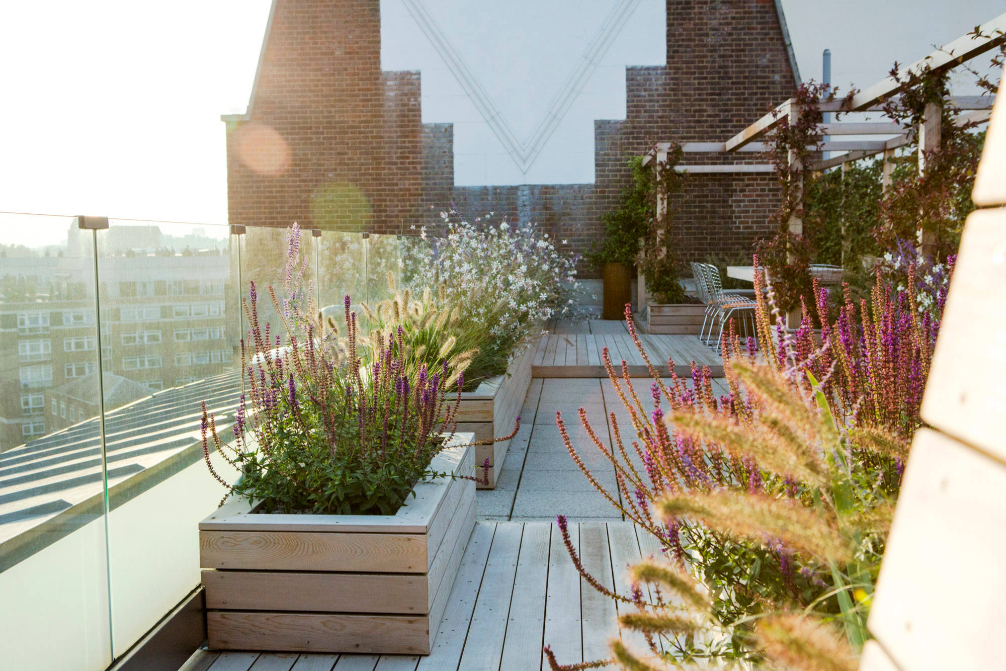 Genius Succulent Garden Ideas Photos