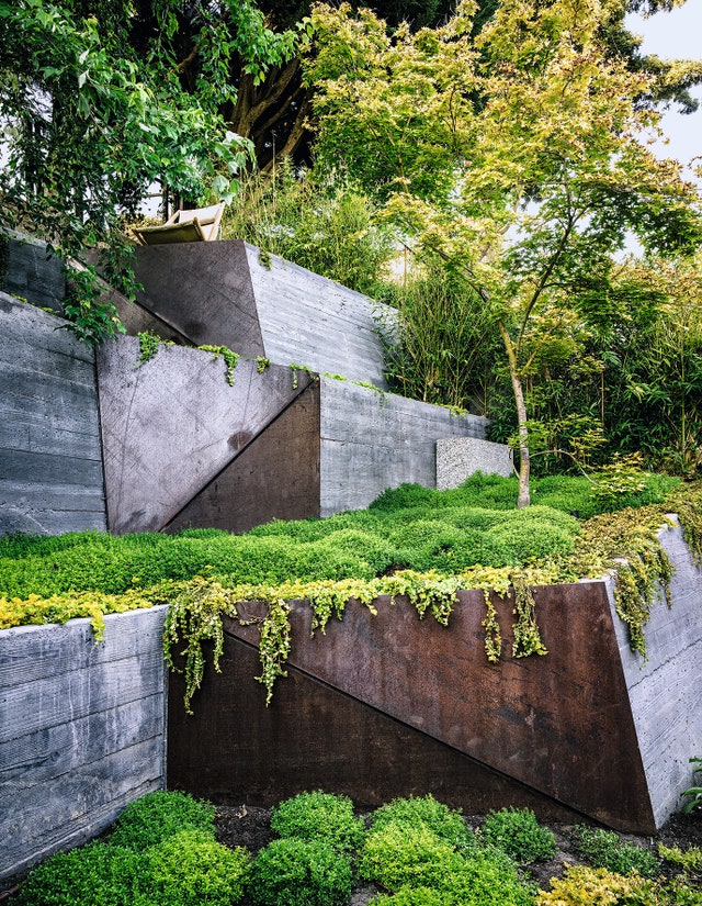 Contemporary Landscapes