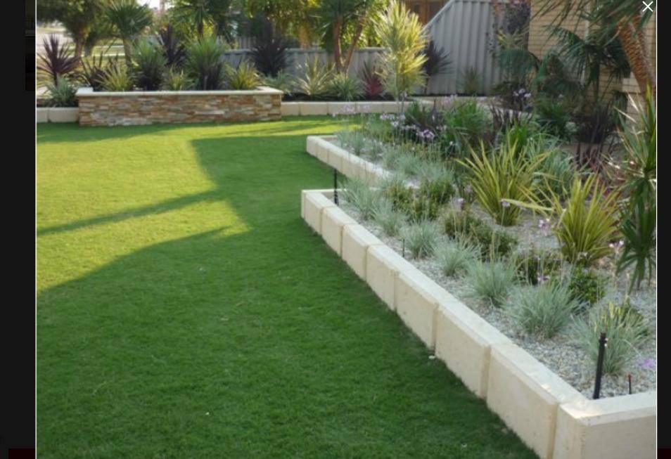Native Australian Garden Design Ideas