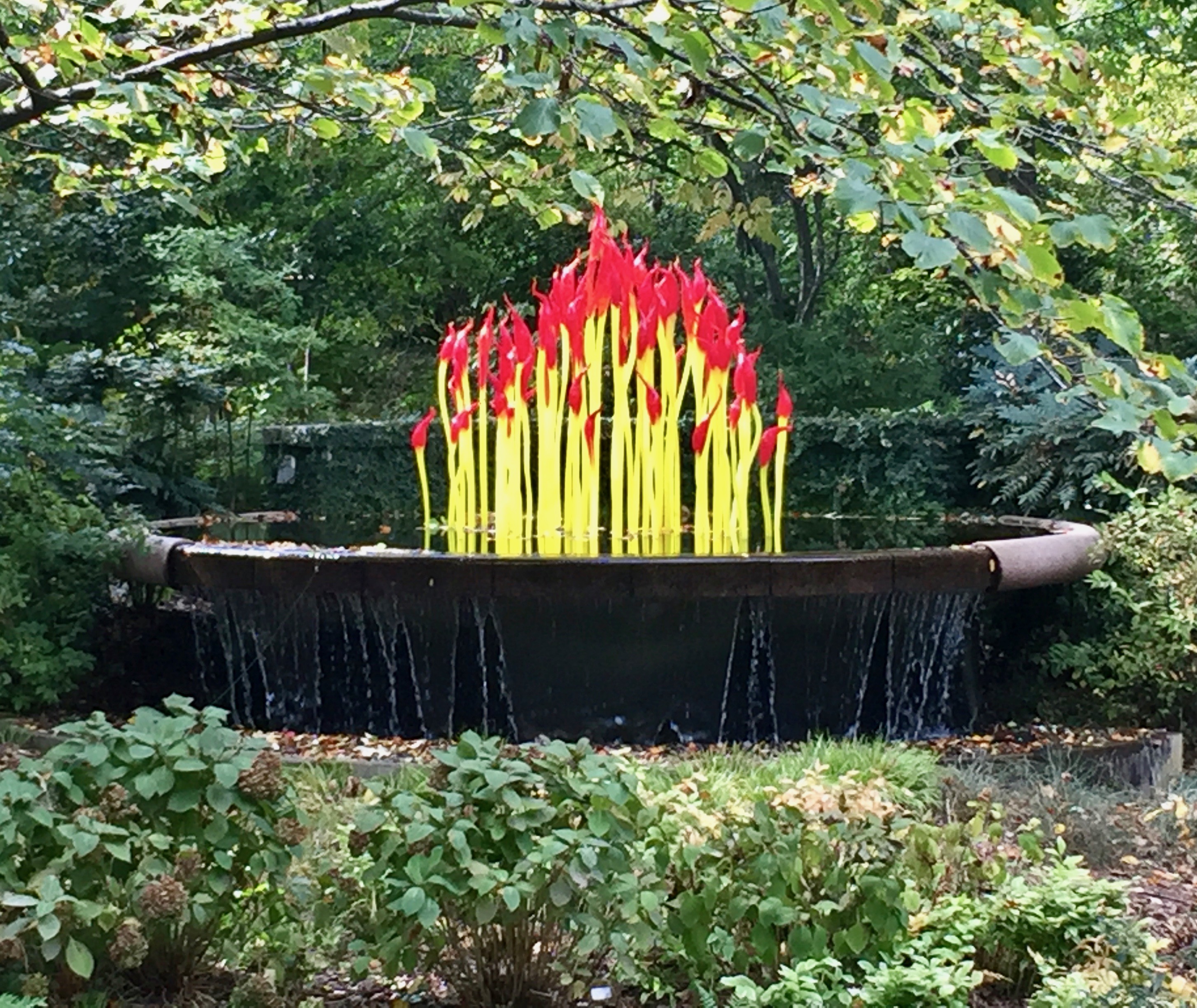 The Garden Atlanta Botanical Gardens Plain Chicken