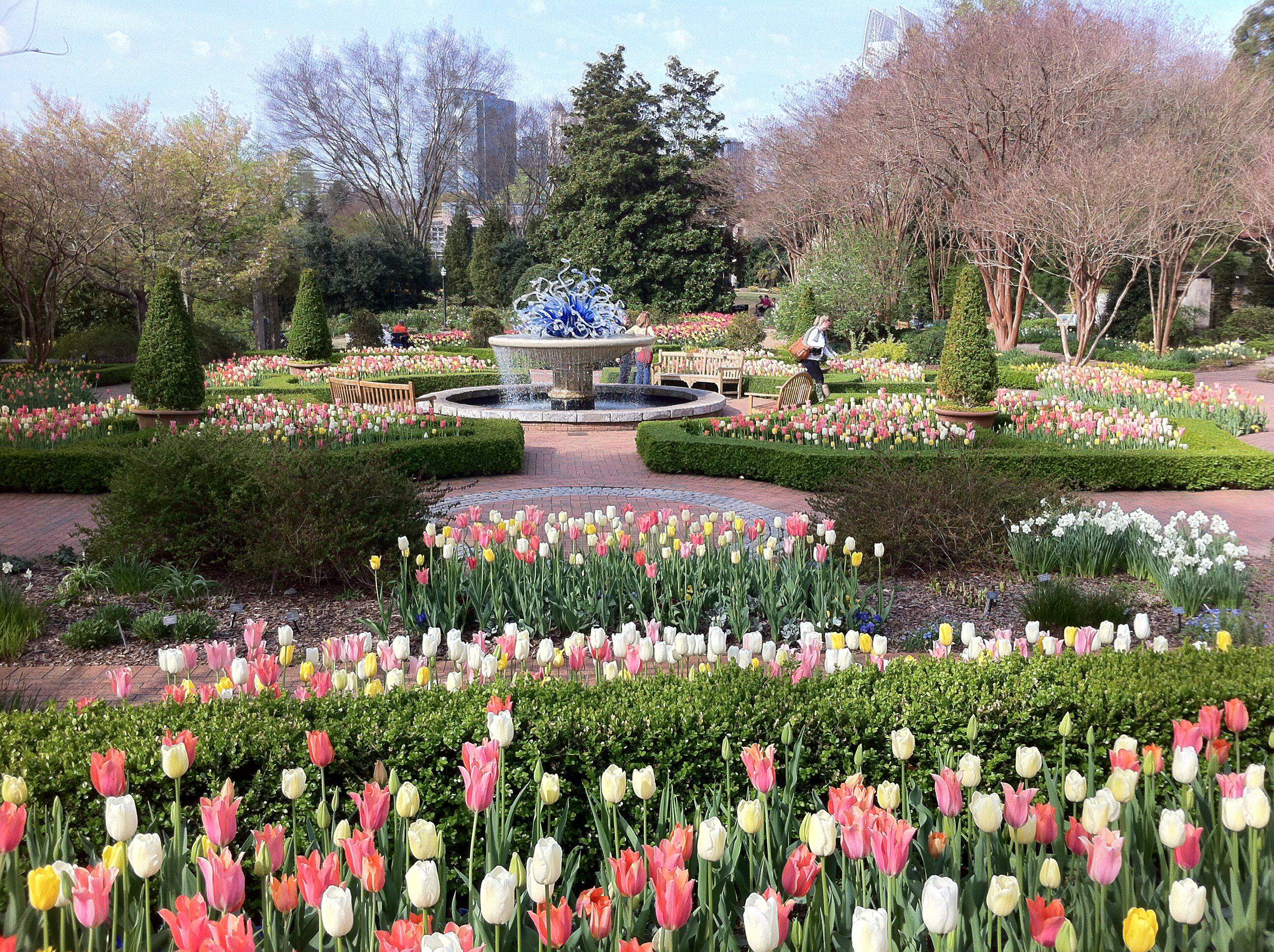 Wonderland Birthday Party