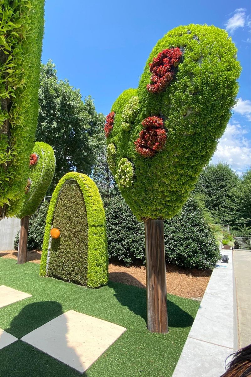 The Atlanta Botanical Garden