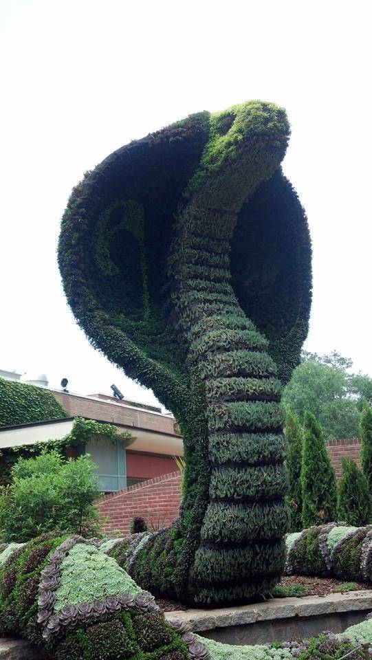 Atlanta Botanical Gardens