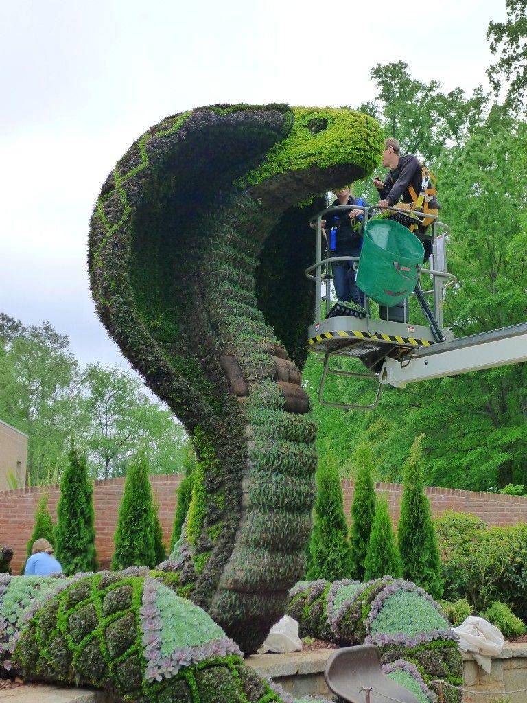 Atlanta Botanical Garden