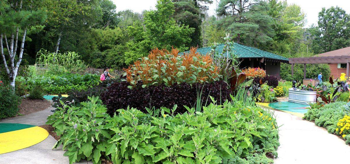 19 Botanical Garden Lackawanna NY Ideas To Consider SharonSable